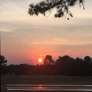 Meet your Posher, Joshua